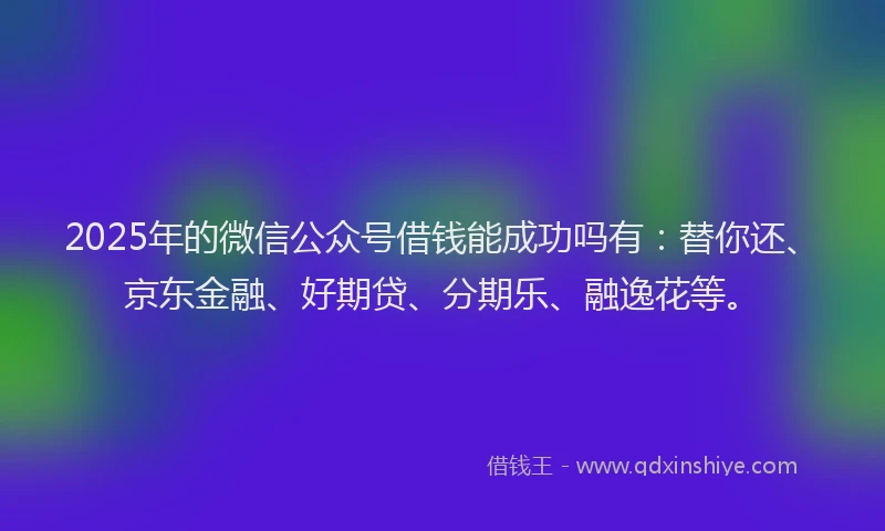 2025年的微信公众号借钱能成功吗有：替你还、京东金融、好期贷、分期乐、融逸花等。