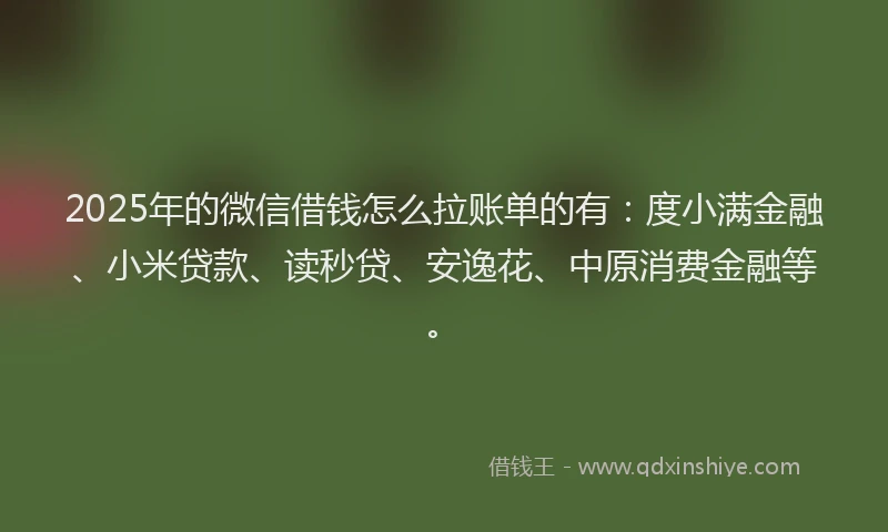 2025年的微信借钱怎么拉账单的有：度小满金融、小米贷款、读秒贷、安逸花、中原消费金融等。