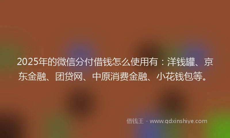 2025年的微信分付借钱怎么使用有：洋钱罐、京东金融、团贷网、中原消费金融、小花钱包等。