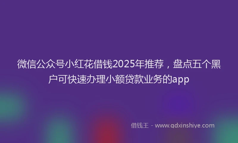 微信公众号小红花借钱2025年推荐，盘点五个黑户可快速办理小额贷款业务的app