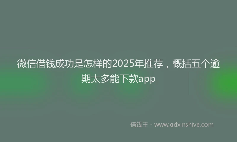 微信借钱成功是怎样的2025年推荐，概括五个逾期太多能下款app