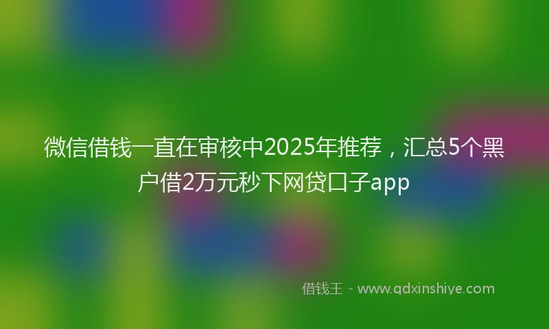 微信借钱一直在审核中2025年推荐，汇总5个黑户借2万元秒下网贷口子app