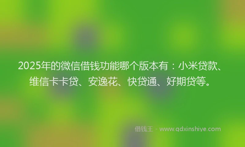 2025年的微信借钱功能哪个版本有：小米贷款、维信卡卡贷、安逸花、快贷通、好期贷等。