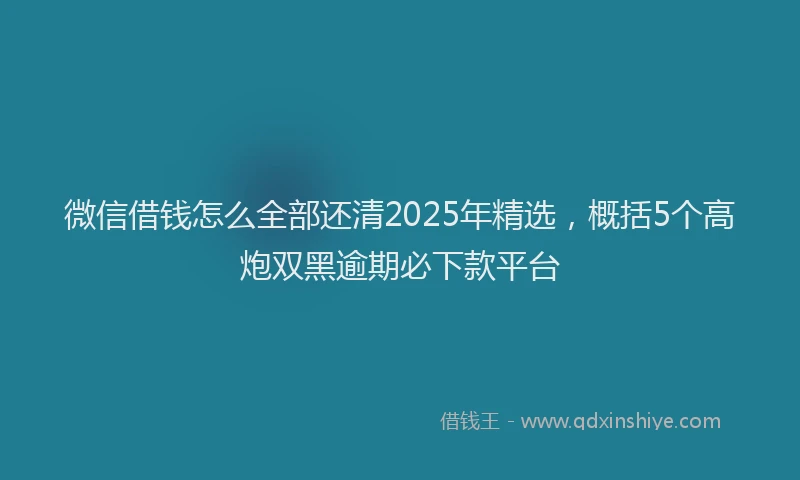 微信借钱怎么全部还清2025年精选，概括5个高炮双黑逾期必下款平台