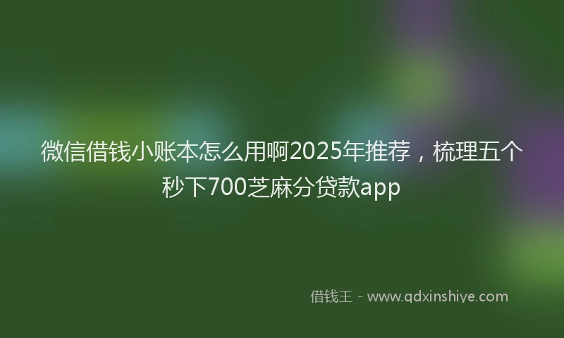 微信借钱小账本怎么用啊2025年推荐，梳理五个秒下700芝麻分贷款app