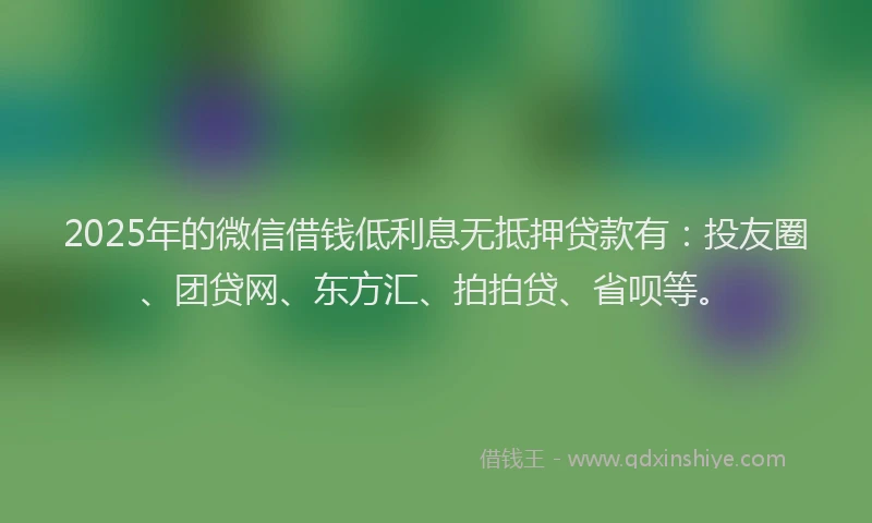 2025年的微信借钱低利息无抵押贷款有：投友圈、团贷网、东方汇、拍拍贷、省呗等。