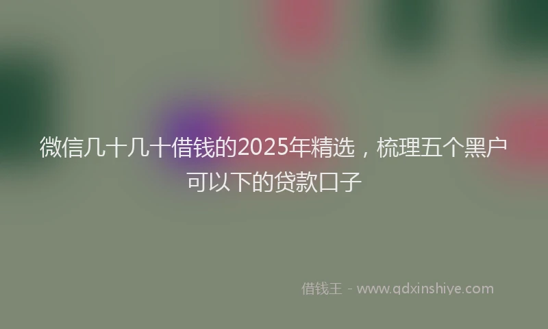 微信几十几十借钱的2025年精选,梳理五个黑户可以下的贷款口子