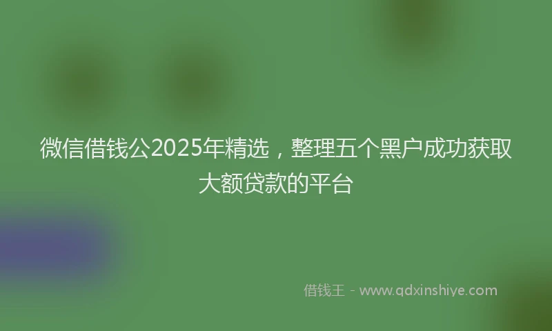 微信借钱公2025年精选，整理五个黑户成功获取大额贷款的平台