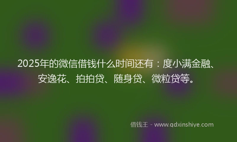 2025年的微信借钱什么时间还有：度小满金融、安逸花、拍拍贷、随身贷、微粒贷等。