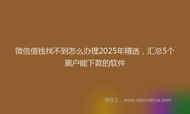 微信借钱找不到怎么办理2025年精选，汇总5个黑户能下款的软件