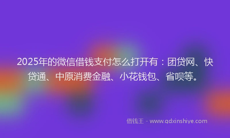 2025年的微信借钱支付怎么打开有：团贷网、快贷通、中原消费金融、小花钱包、省呗等。