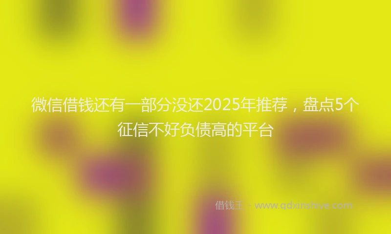 微信借钱还有一部分没还2025年推荐，盘点5个征信不好负债高的平台