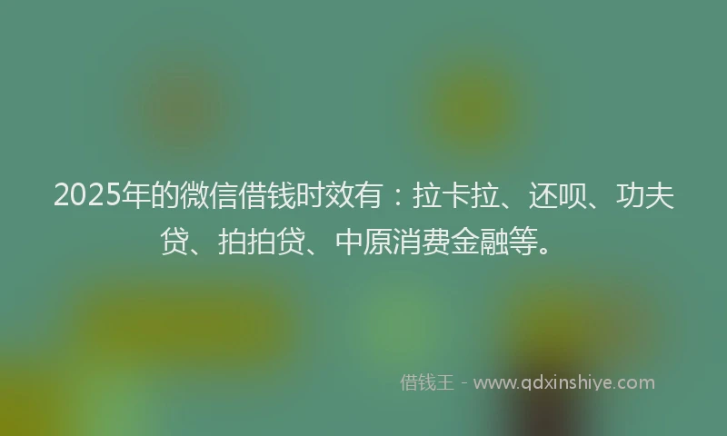 2025年的微信借钱时效有：拉卡拉、还呗、功夫贷、拍拍贷、中原消费金融等。