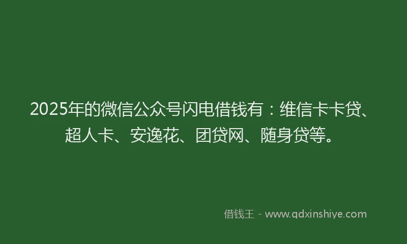 2025年的微信公众号闪电借钱有：维信卡卡贷、超人卡、安逸花、团贷网、随身贷等。