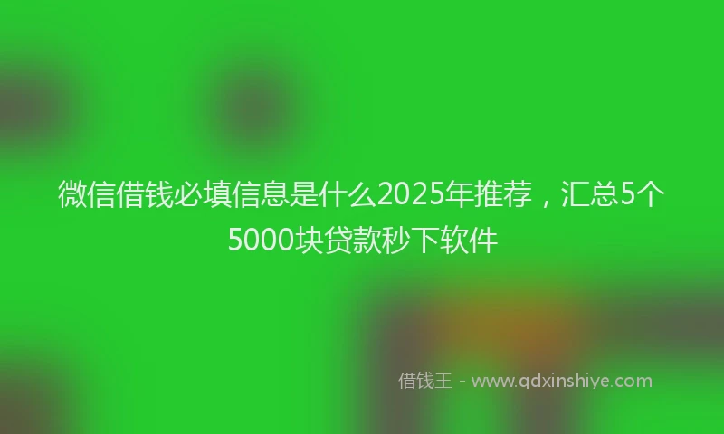 微信借钱必填信息是什么2025年推荐，汇总5个5000块贷款秒下软件