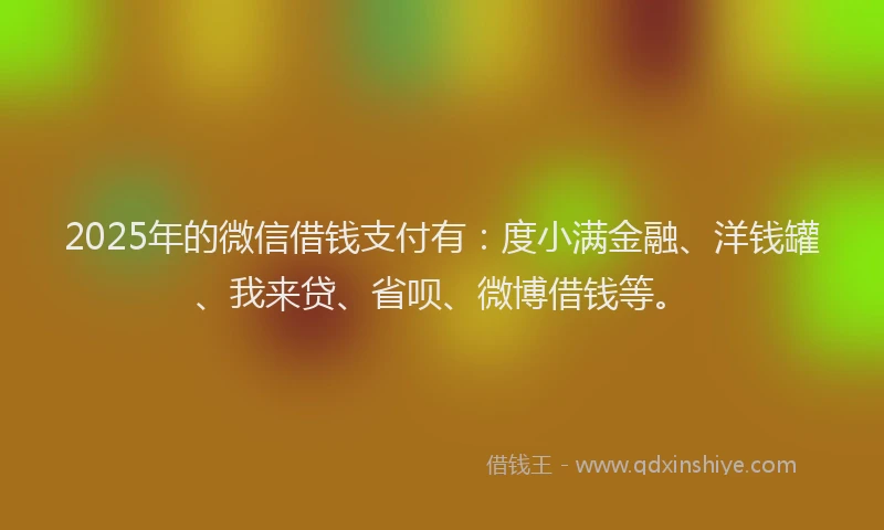 2025年的微信借钱支付有：度小满金融、洋钱罐、我来贷、省呗、微博借钱等。