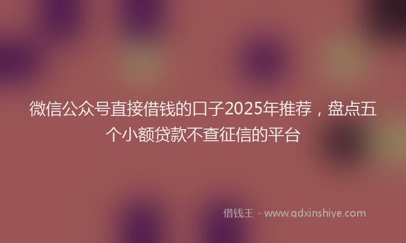 微信公众号直接借钱的口子2025年推荐，盘点五个小额贷款不查征信的平台