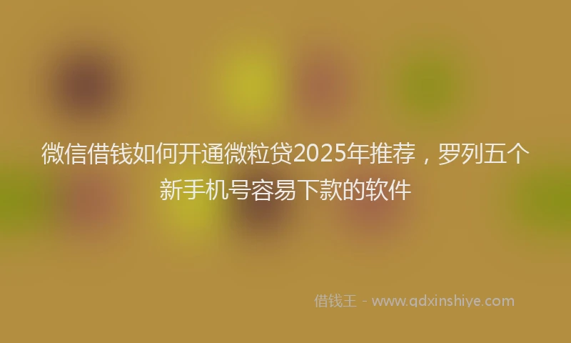 微信借钱如何开通微粒贷2025年推荐，罗列五个新手机号容易下款的软件