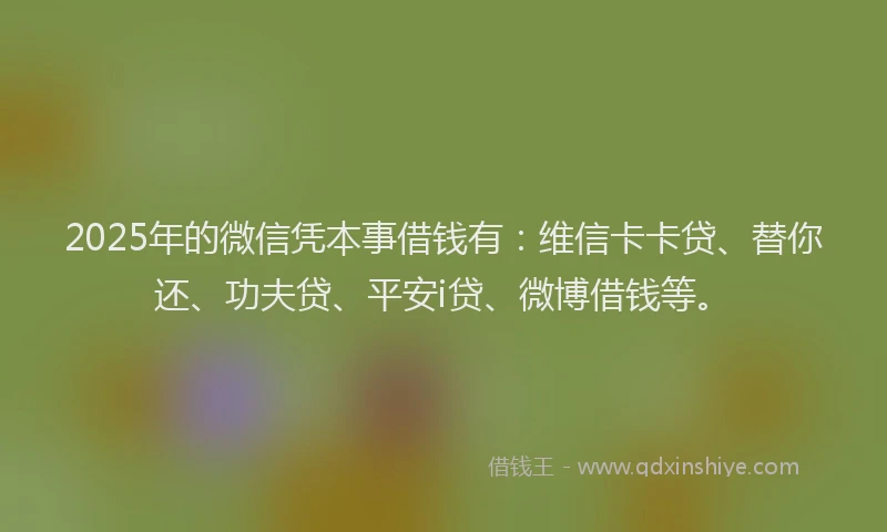 2025年的微信凭本事借钱有：维信卡卡贷、替你还、功夫贷、平安i贷、微博借钱等。