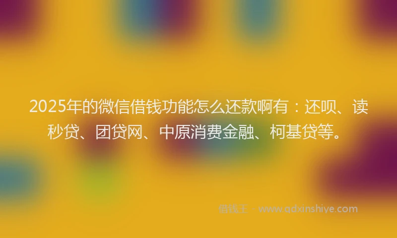 2025年的微信借钱功能怎么还款啊有：还呗、读秒贷、团贷网、中原消费金融、柯基贷等。