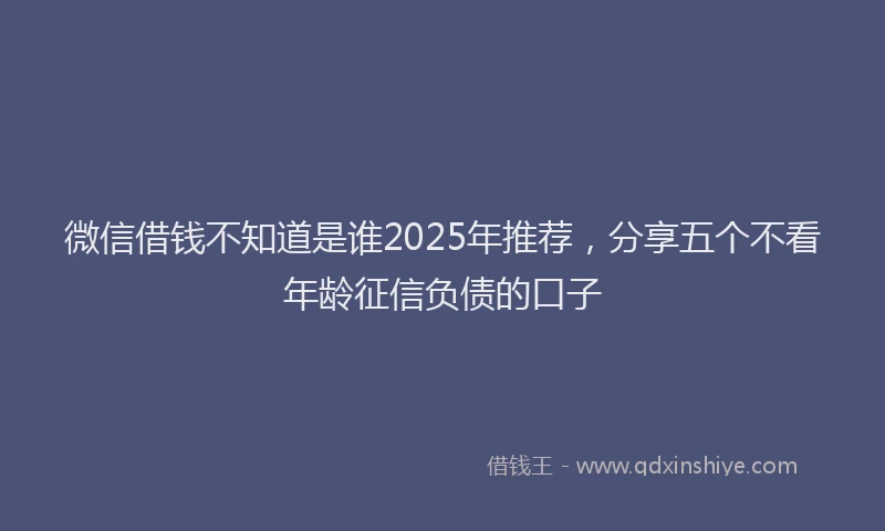 微信借钱不知道是谁2025年推荐，分享五个不看年龄征信负债的口子