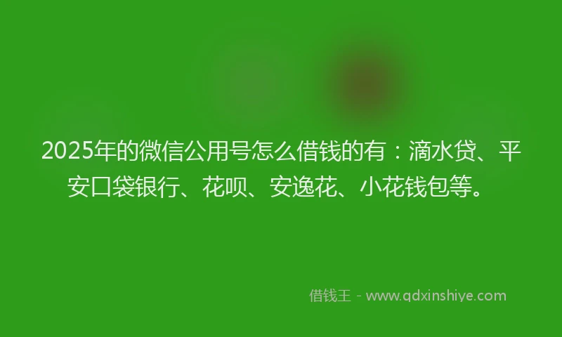 2025年的微信公用号怎么借钱的有：滴水贷、平安口袋银行、花呗、安逸花、小花钱包等。