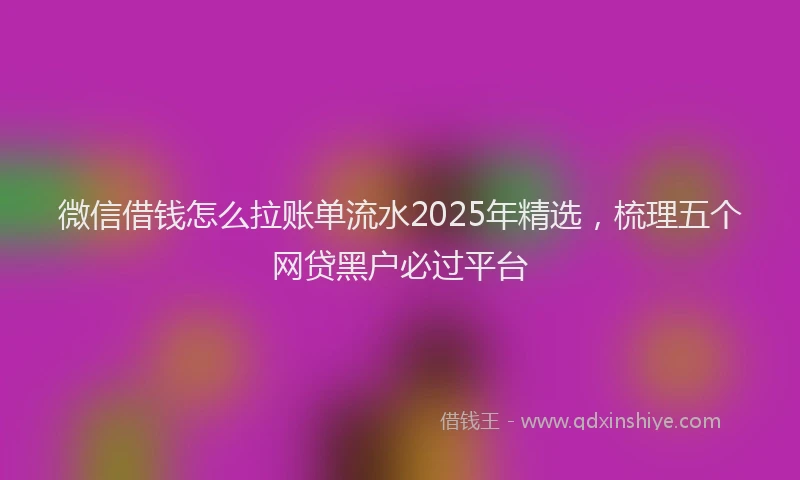 微信借钱怎么拉账单流水2025年精选，梳理五个网贷黑户必过平台