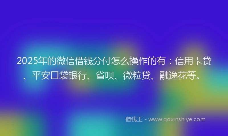2025年的微信借钱分付怎么操作的有：信用卡贷、平安口袋银行、省呗、微粒贷、融逸花等。