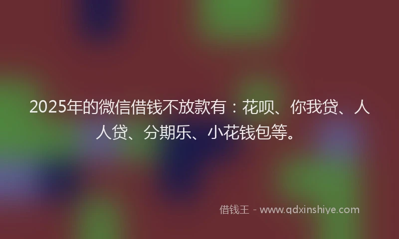 2025年的微信借钱不放款有：花呗、你我贷、人人贷、分期乐、小花钱包等。