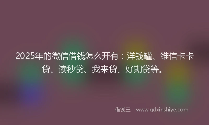 2025年的微信借钱怎么开有：洋钱罐、维信卡卡贷、读秒贷、我来贷、好期贷等。