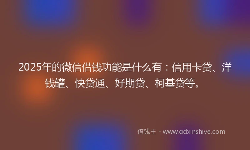 2025年的微信借钱功能是什么有：信用卡贷、洋钱罐、快贷通、好期贷、柯基贷等。
