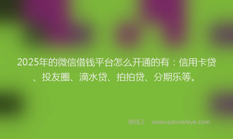 2025年的微信借钱平台怎么开通的有：信用卡贷、投友圈、滴水贷、拍拍贷、分期乐等。