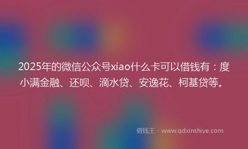 2025年的微信公众号xiao什么卡可以借钱有：度小满金融、还呗、滴水贷、安逸花、柯基贷等。