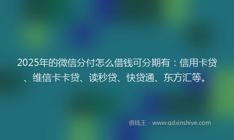 2025年的微信分付怎么借钱可分期有：信用卡贷、维信卡卡贷、读秒贷、快贷通、东方汇等。