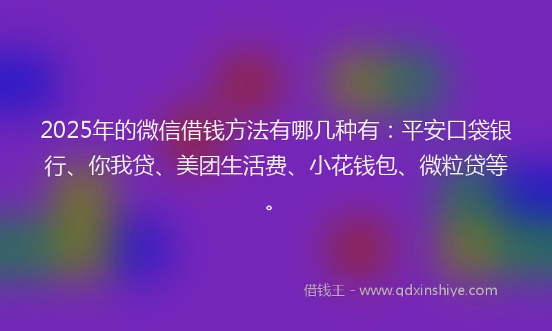 2025年的微信借钱方法有哪几种有：平安口袋银行、你我贷、美团生活费、小花钱包、微粒贷等。