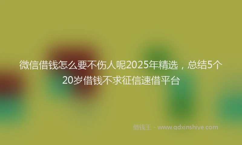 微信借钱怎么要不伤人呢2025年精选，总结5个20岁借钱不求征信速借平台