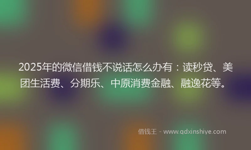 2025年的微信借钱不说话怎么办有：读秒贷、美团生活费、分期乐、中原消费金融、融逸花等。
