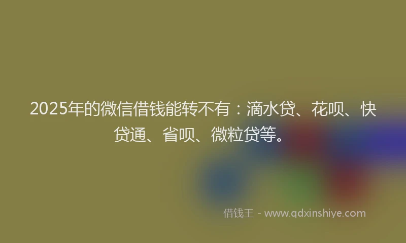 2025年的微信借钱能转不有：滴水贷、花呗、快贷通、省呗、微粒贷等。