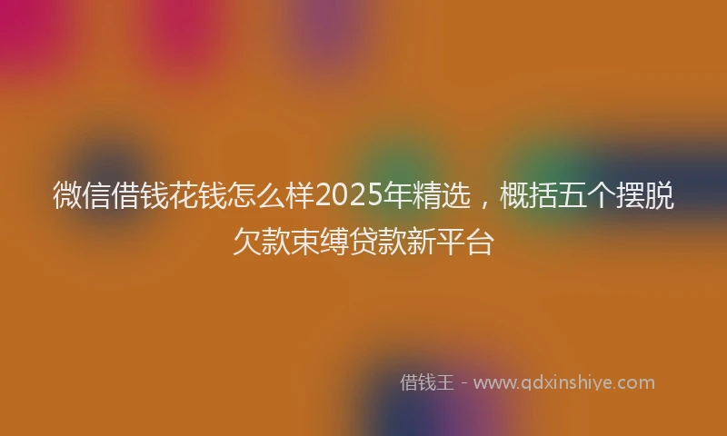 微信借钱花钱怎么样2025年精选，概括五个摆脱欠款束缚贷款新平台