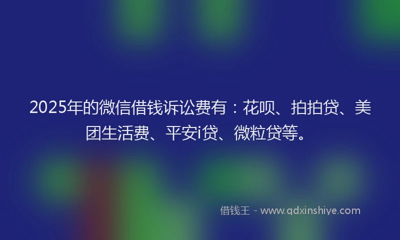2025年的微信借钱诉讼费有：花呗、拍拍贷、美团生活费、平安i贷、微粒贷等。