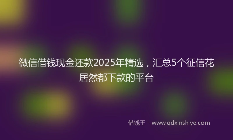 微信借钱现金还款2025年精选，汇总5个征信花居然都下款的平台