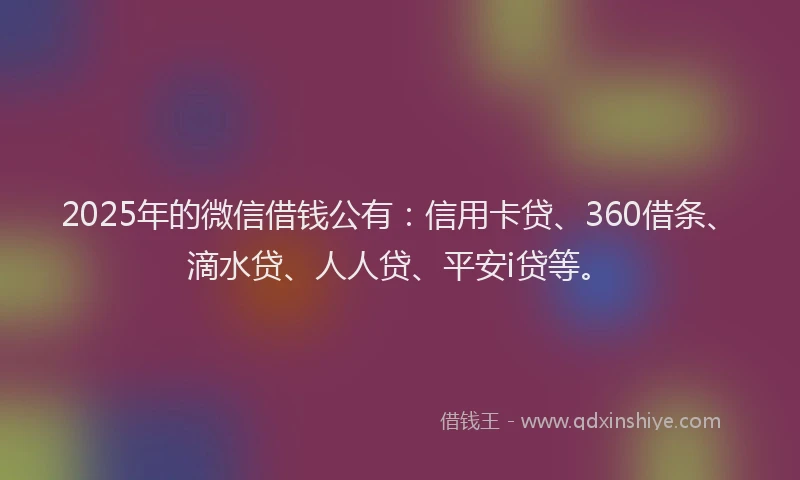 2025年的微信借钱公有：信用卡贷、360借条、滴水贷、人人贷、平安i贷等。
