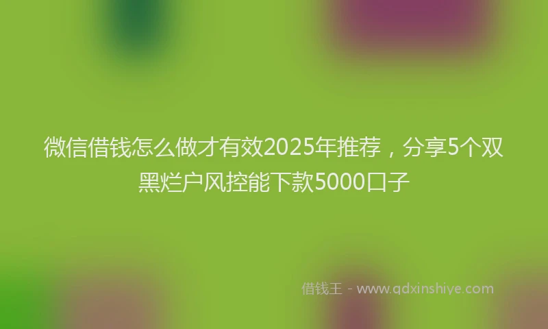 微信借钱怎么做才有效2025年推荐，分享5个双黑烂户风控能下款5000口子
