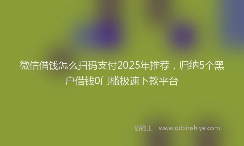 微信借钱怎么扫码支付2025年推荐，归纳5个黑户借钱0门槛极速下款平台