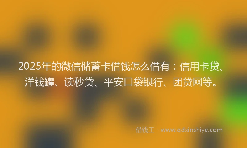 2025年的微信储蓄卡借钱怎么借有：信用卡贷、洋钱罐、读秒贷、平安口袋银行、团贷网等。
