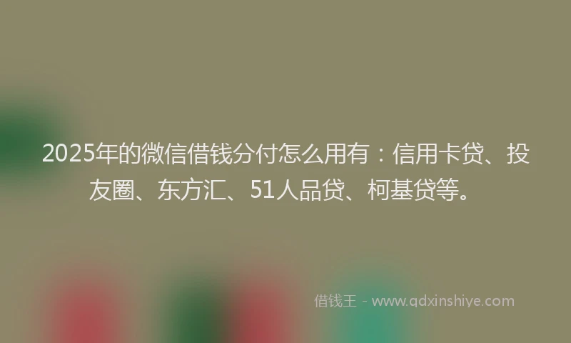 2025年的微信借钱分付怎么用有：信用卡贷、投友圈、东方汇、51人品贷、柯基贷等。