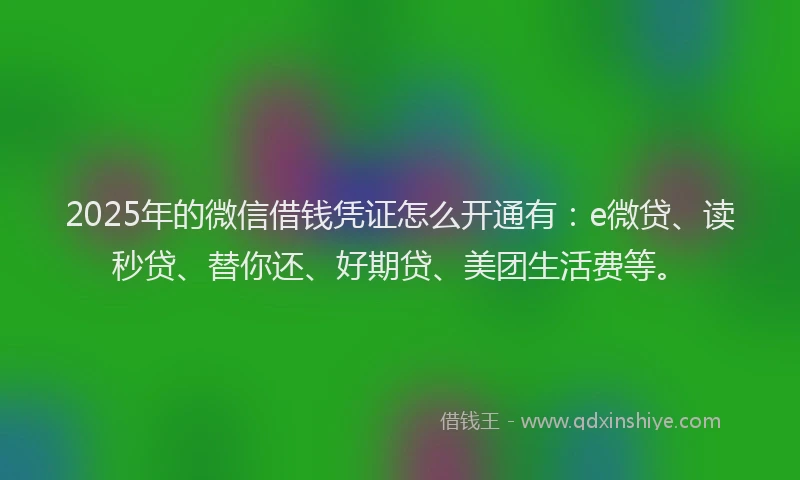 2025年的微信借钱凭证怎么开通有：e微贷、读秒贷、替你还、好期贷、美团生活费等。