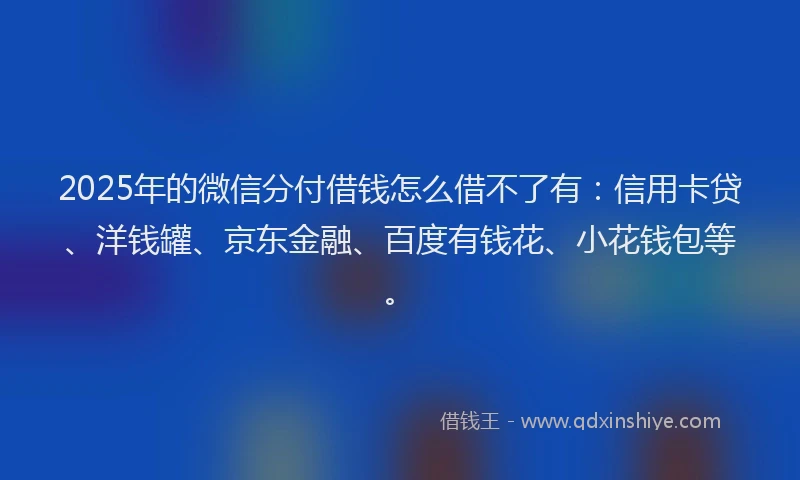 2025年的微信分付借钱怎么借不了有：信用卡贷、洋钱罐、京东金融、百度有钱花、小花钱包等。