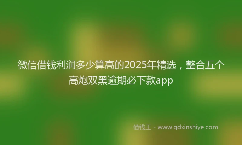 微信借钱利润多少算高的2025年精选，整合五个高炮双黑逾期必下款app