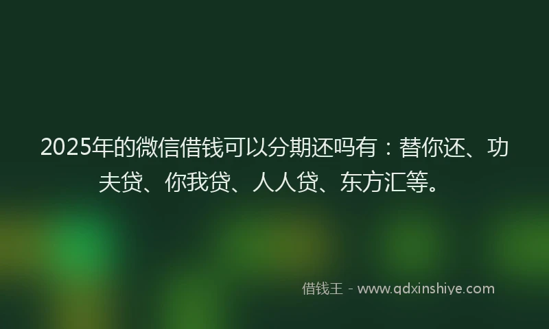 2025年的微信借钱可以分期还吗有：替你还、功夫贷、你我贷、人人贷、东方汇等。